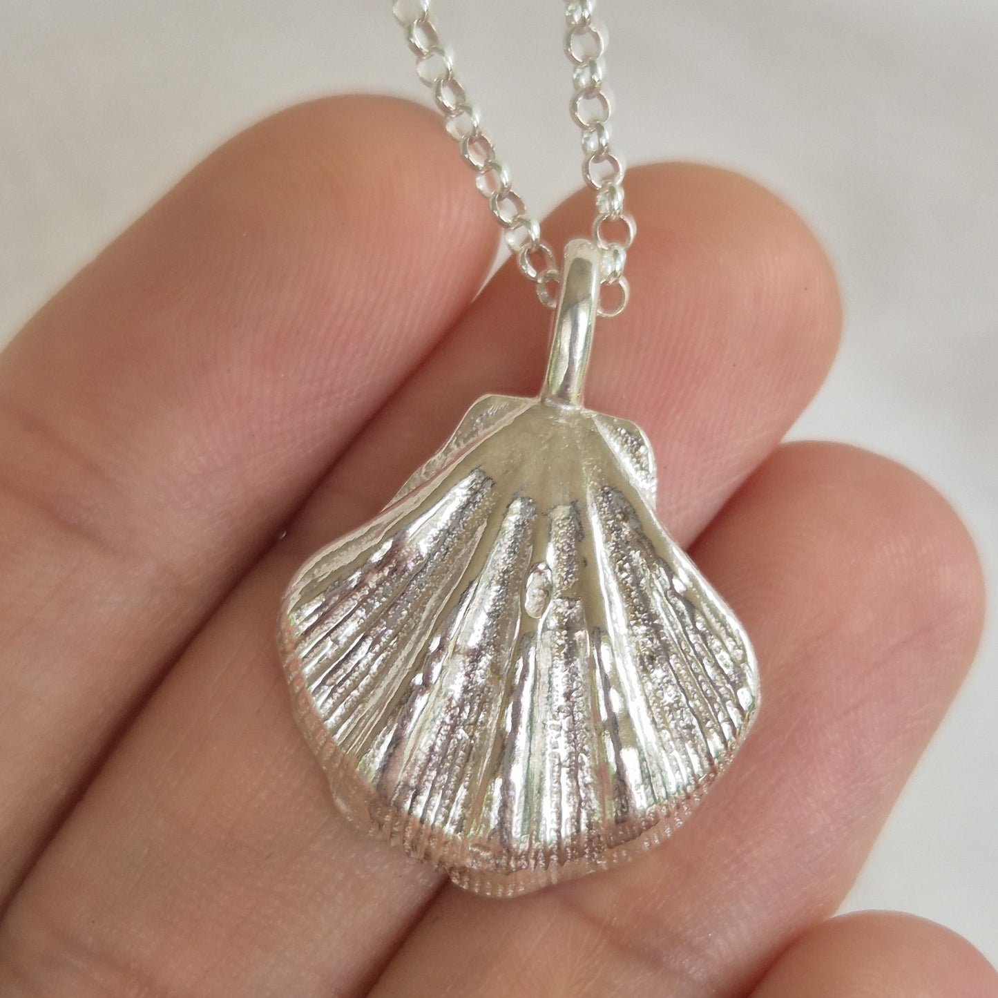 Large Seashell Pendant Necklace