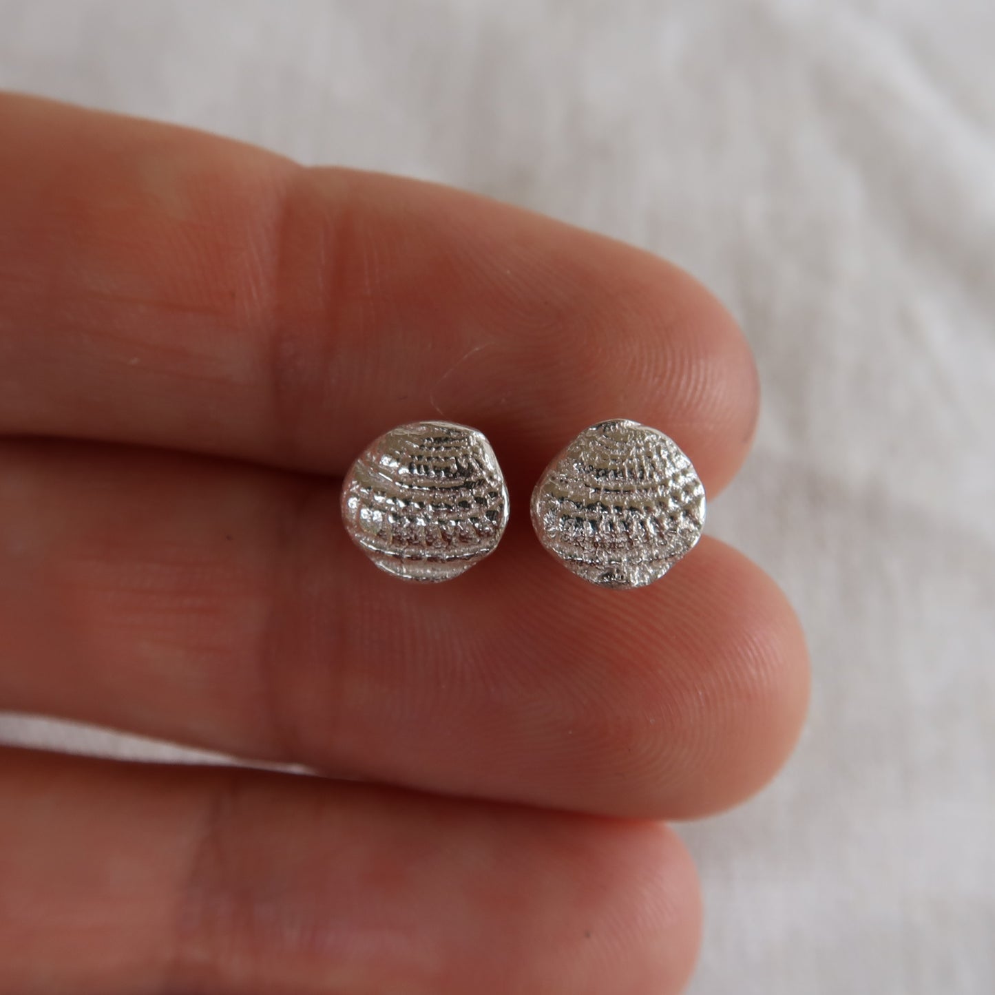 Sundial Shell Studs