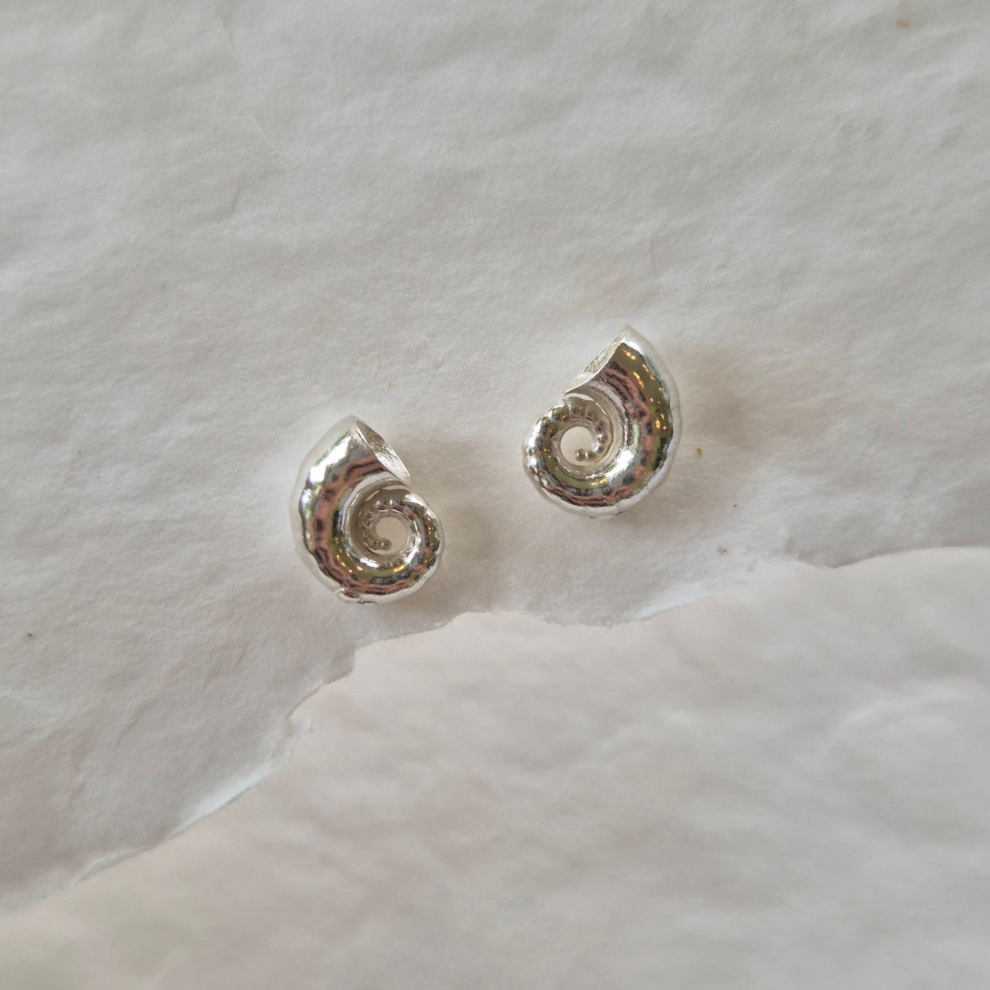 Sea Spirula Studs