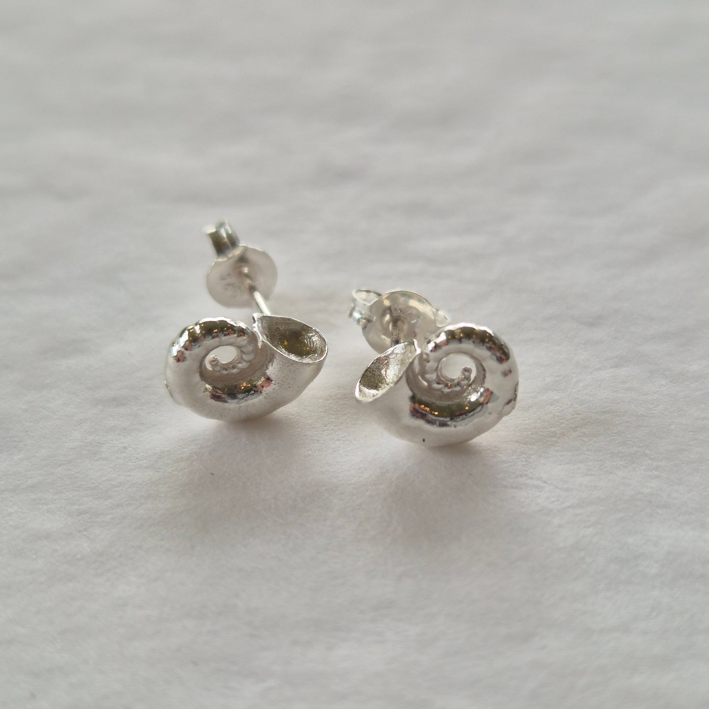 Sea Spirula Studs