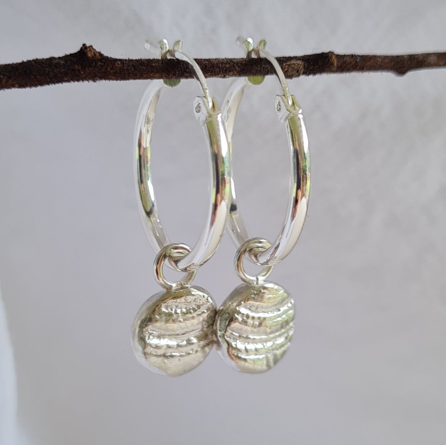 Sundial shell charms on 20mm hoops