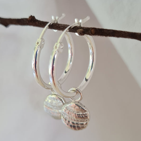 Sundial shell charms on 20mm hoops