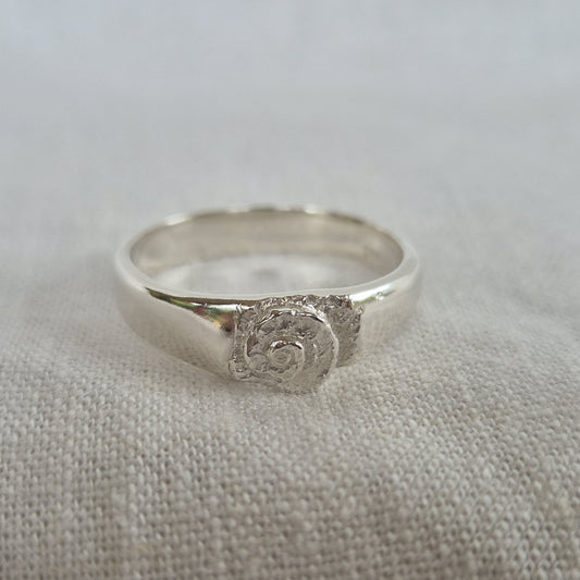 Spiral Impression Signet Ring - Small - Size V 1/2