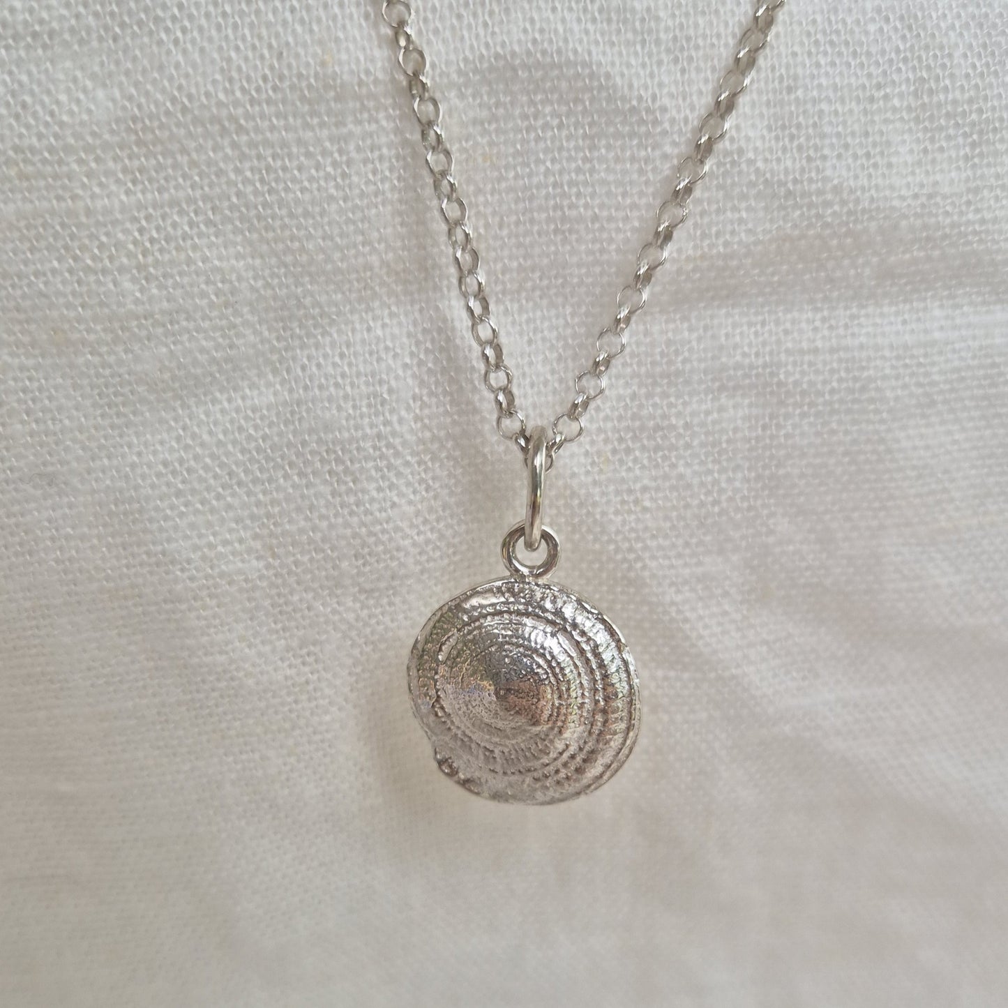 Sundial Shell Medallion Necklace