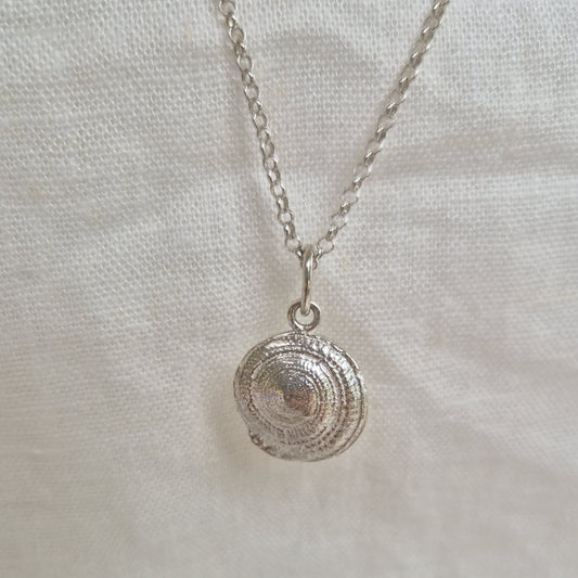 Sundial Shell Medallion Necklace