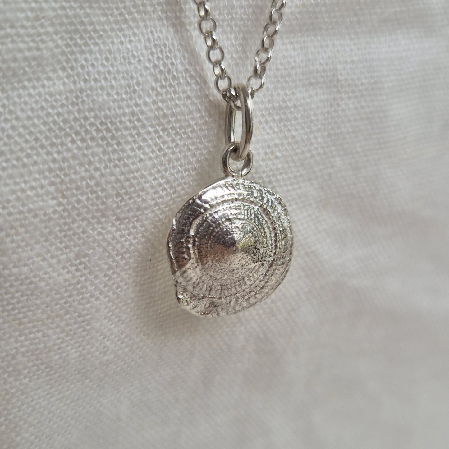 Sundial Shell Medallion Necklace