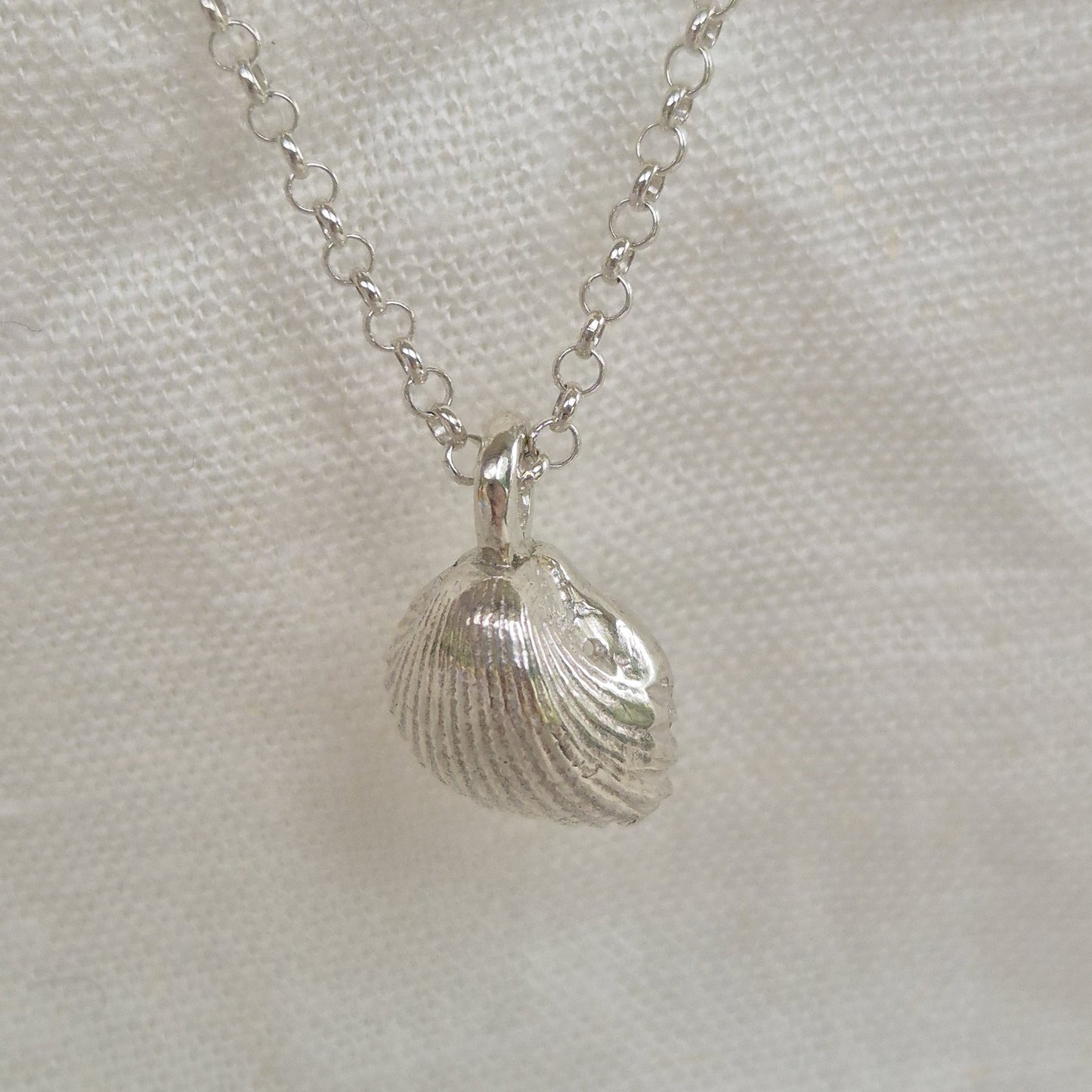 Sandcast Seashell Pendant Necklace