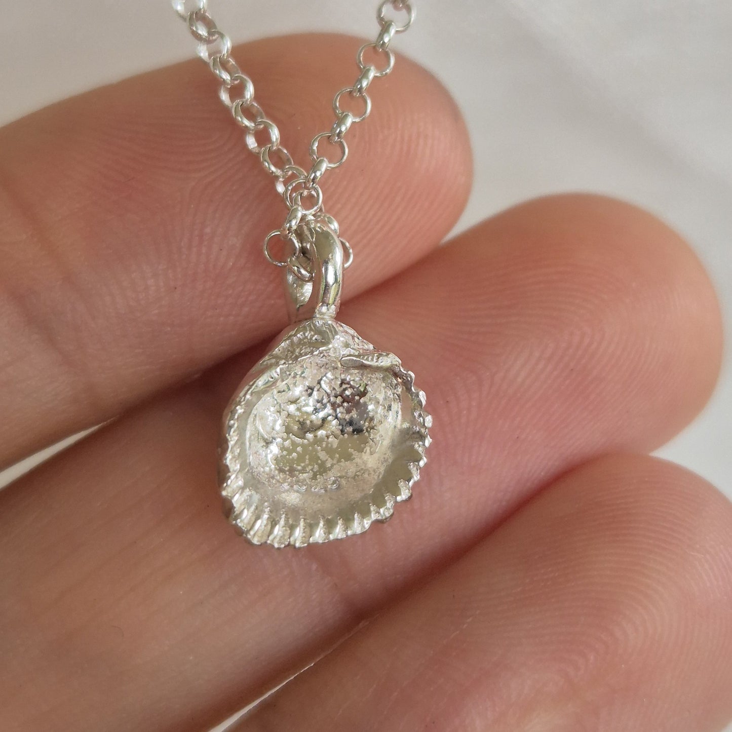 Sandcast Seashell Pendant Necklace