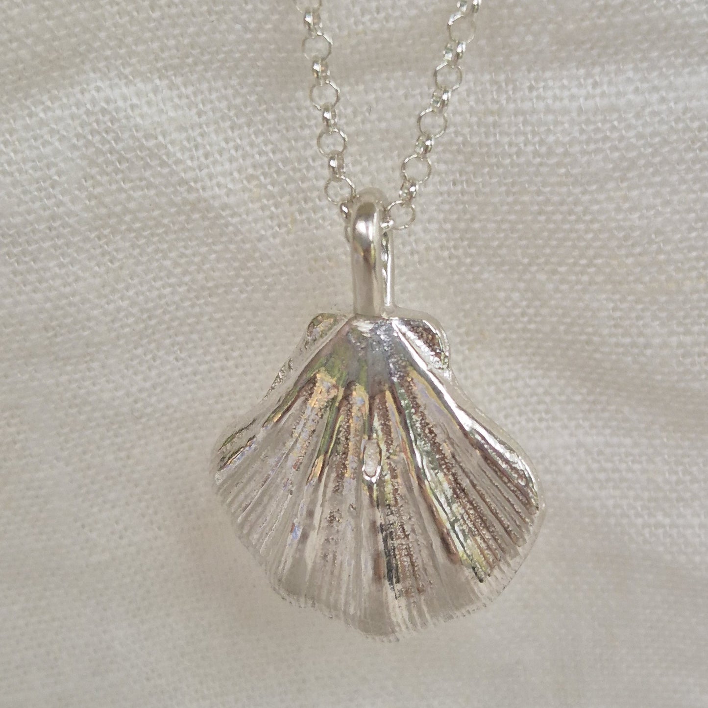 Large Seashell Pendant Necklace