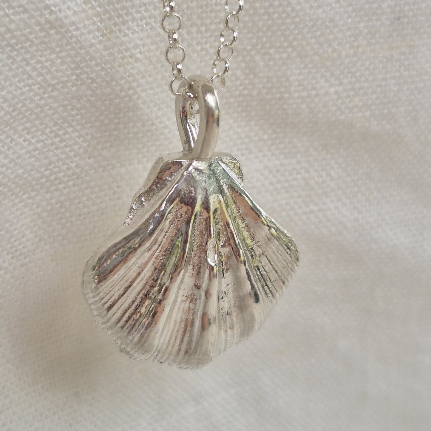 Large Seashell Pendant Necklace