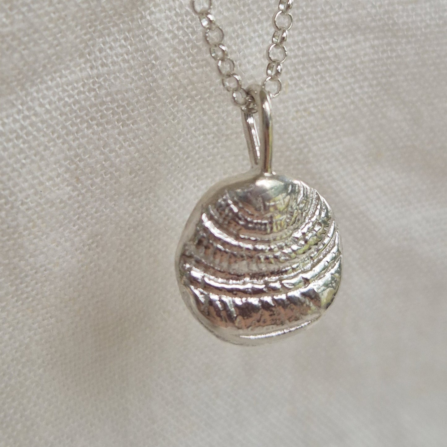 Large Sundial Shell Impression Pendant
