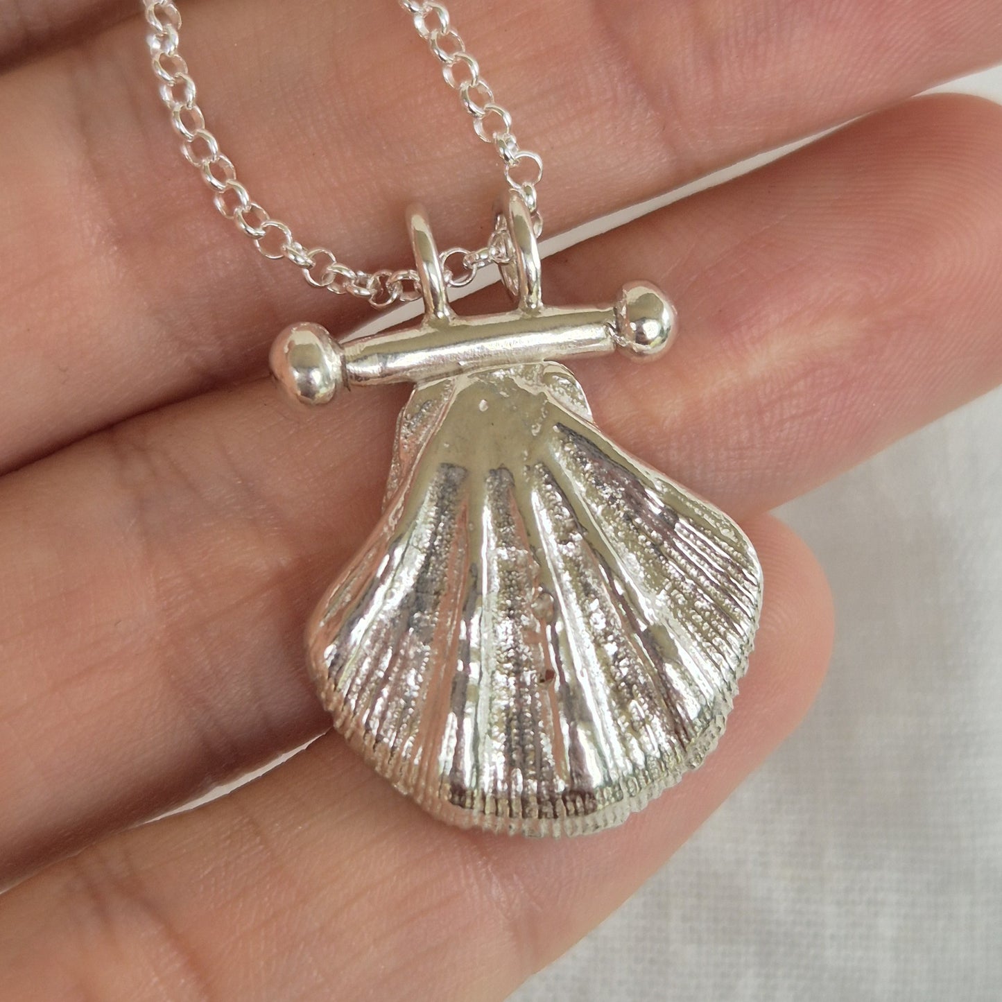 Large WA Seashell Pendant Necklace