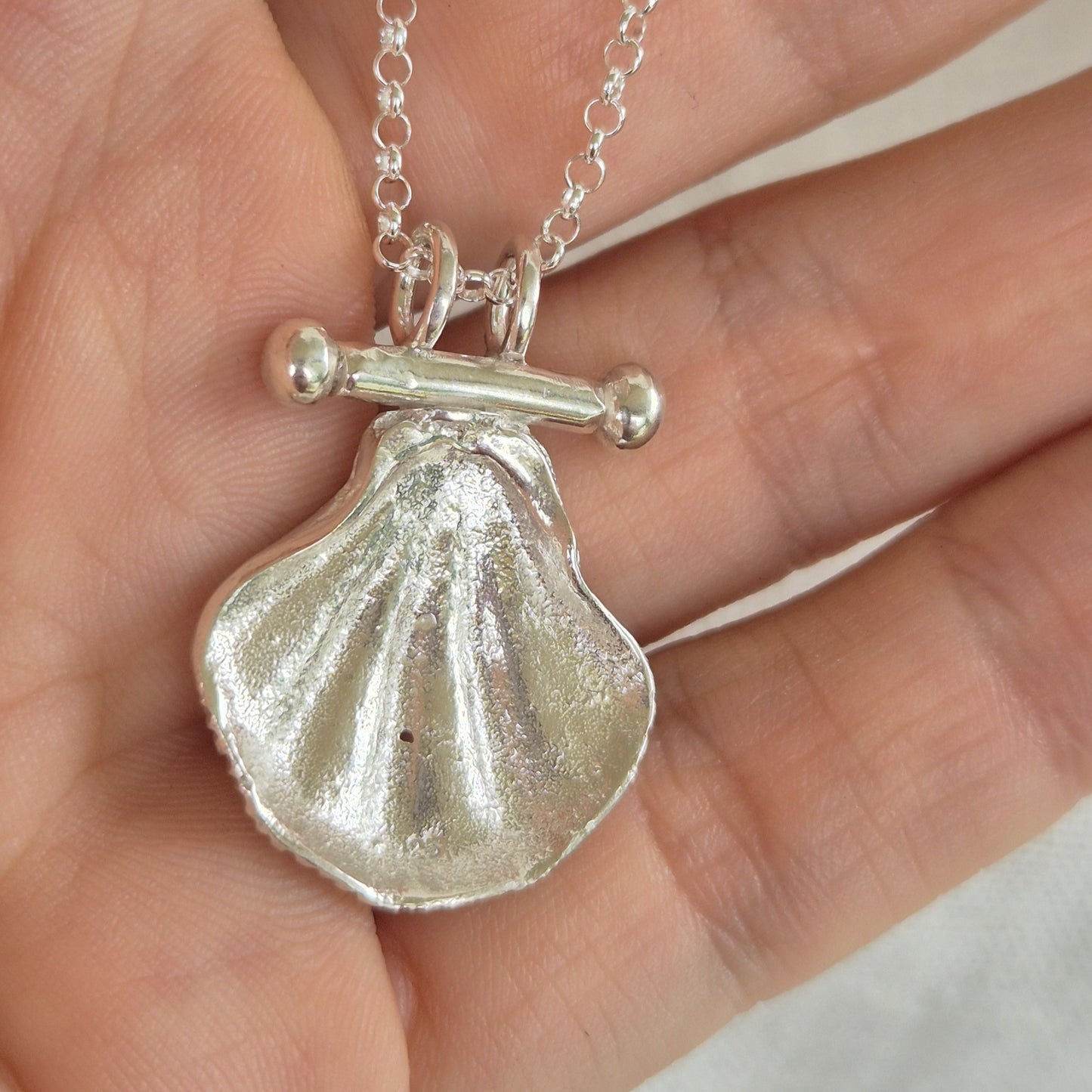 Large WA Seashell Pendant Necklace