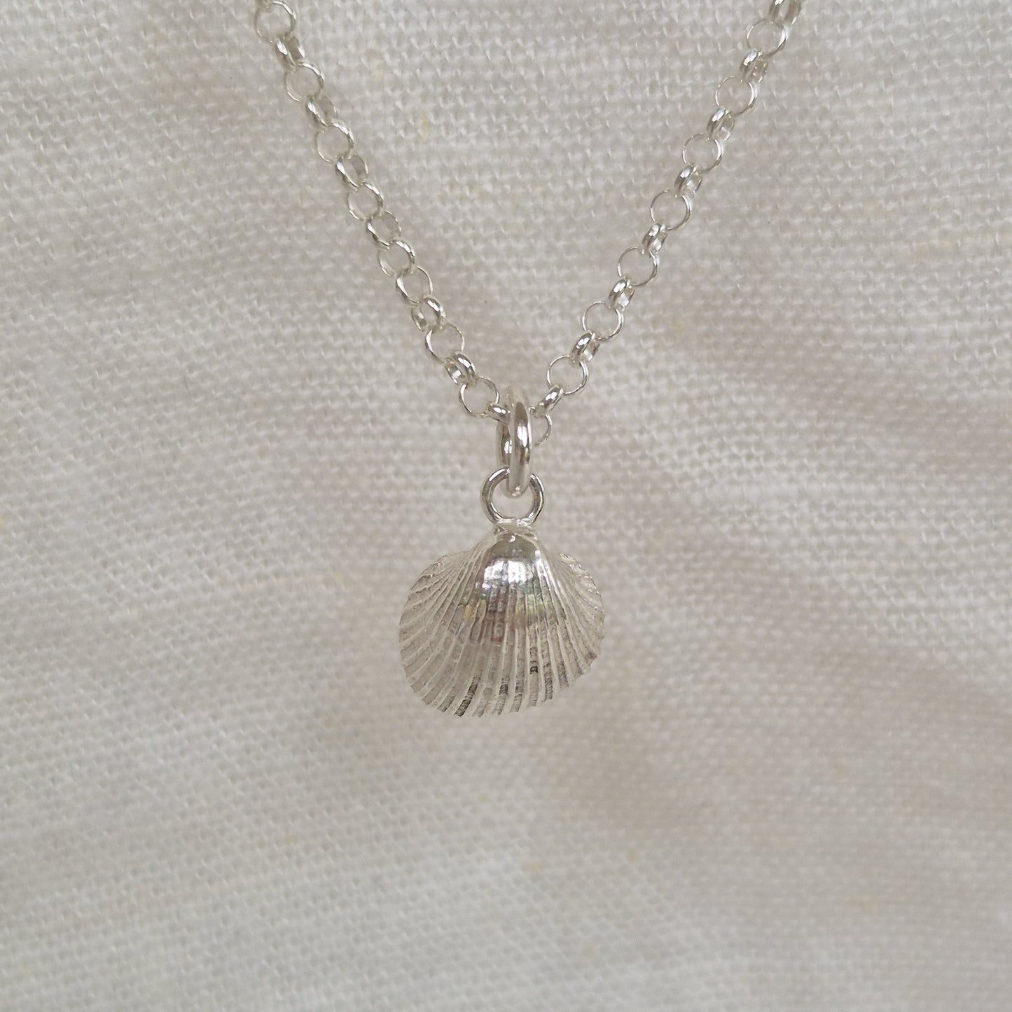 Cockle Shell Pendant Necklace