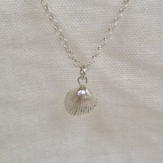 Cockle Shell Pendant Necklace
