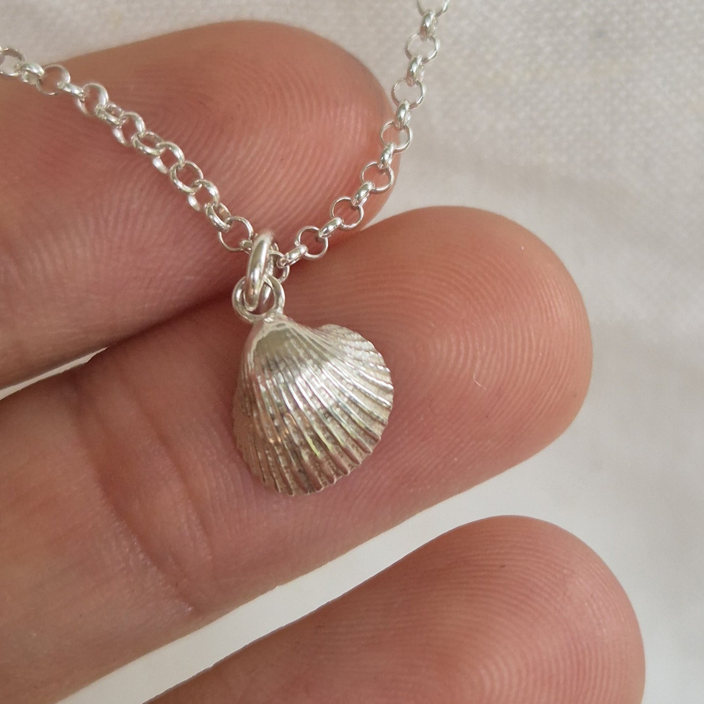 Cockle Shell Pendant Necklace