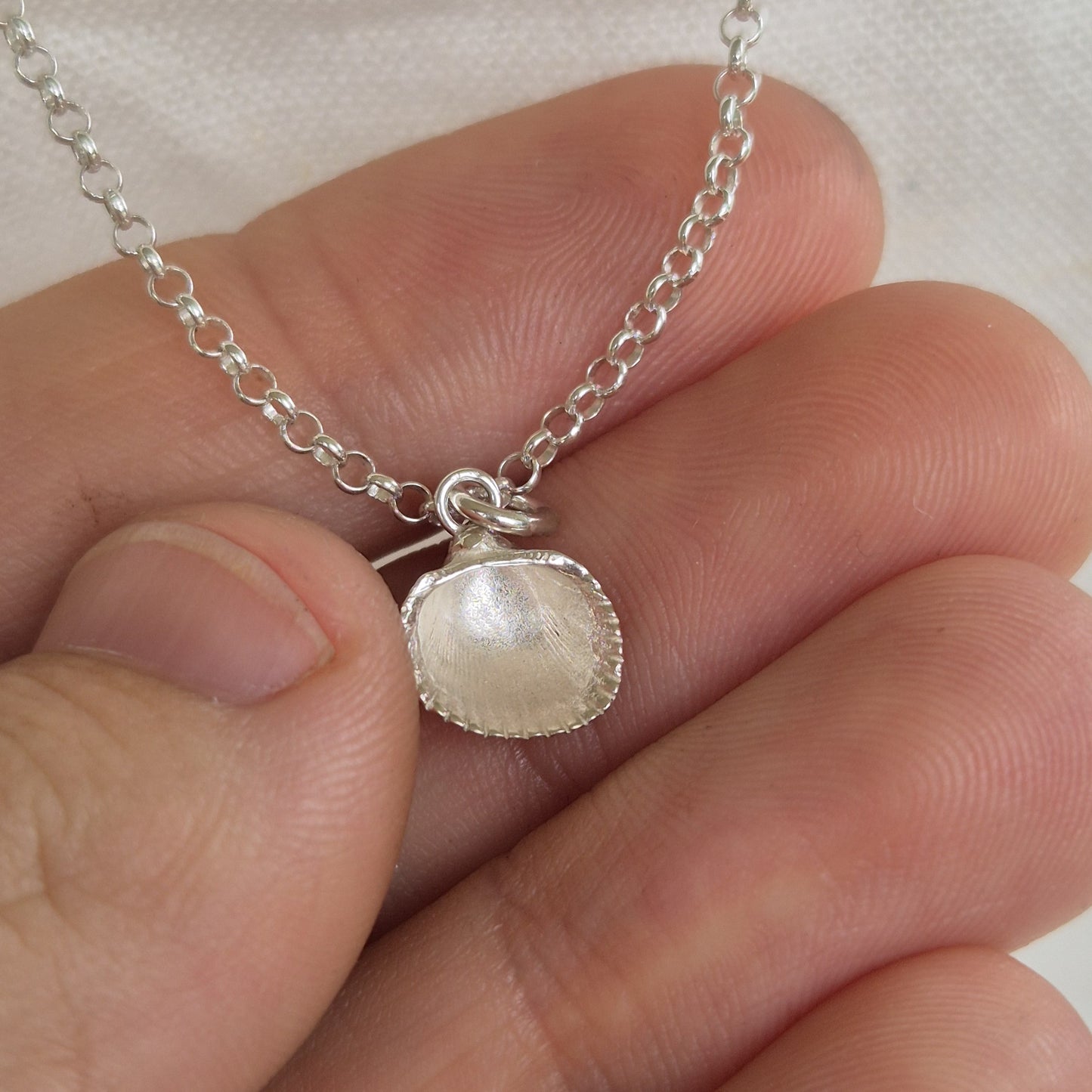 Cockle Shell Pendant Necklace