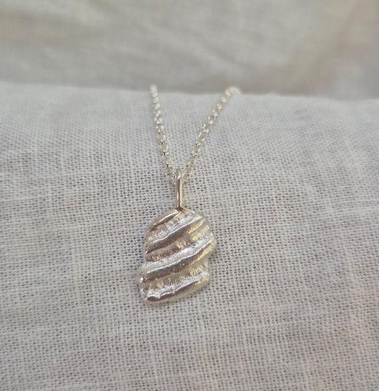 Seashell fragment