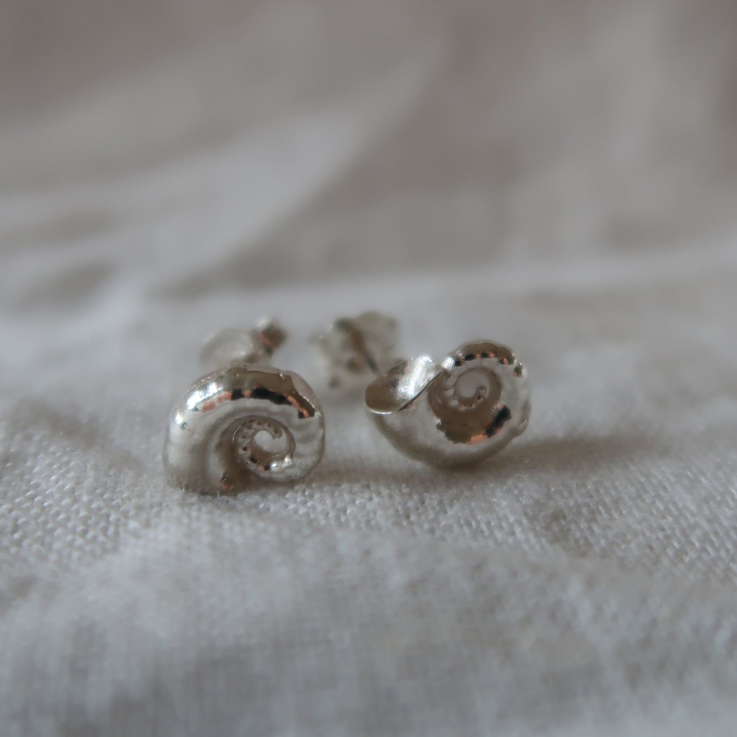 Sea Spirula Studs
