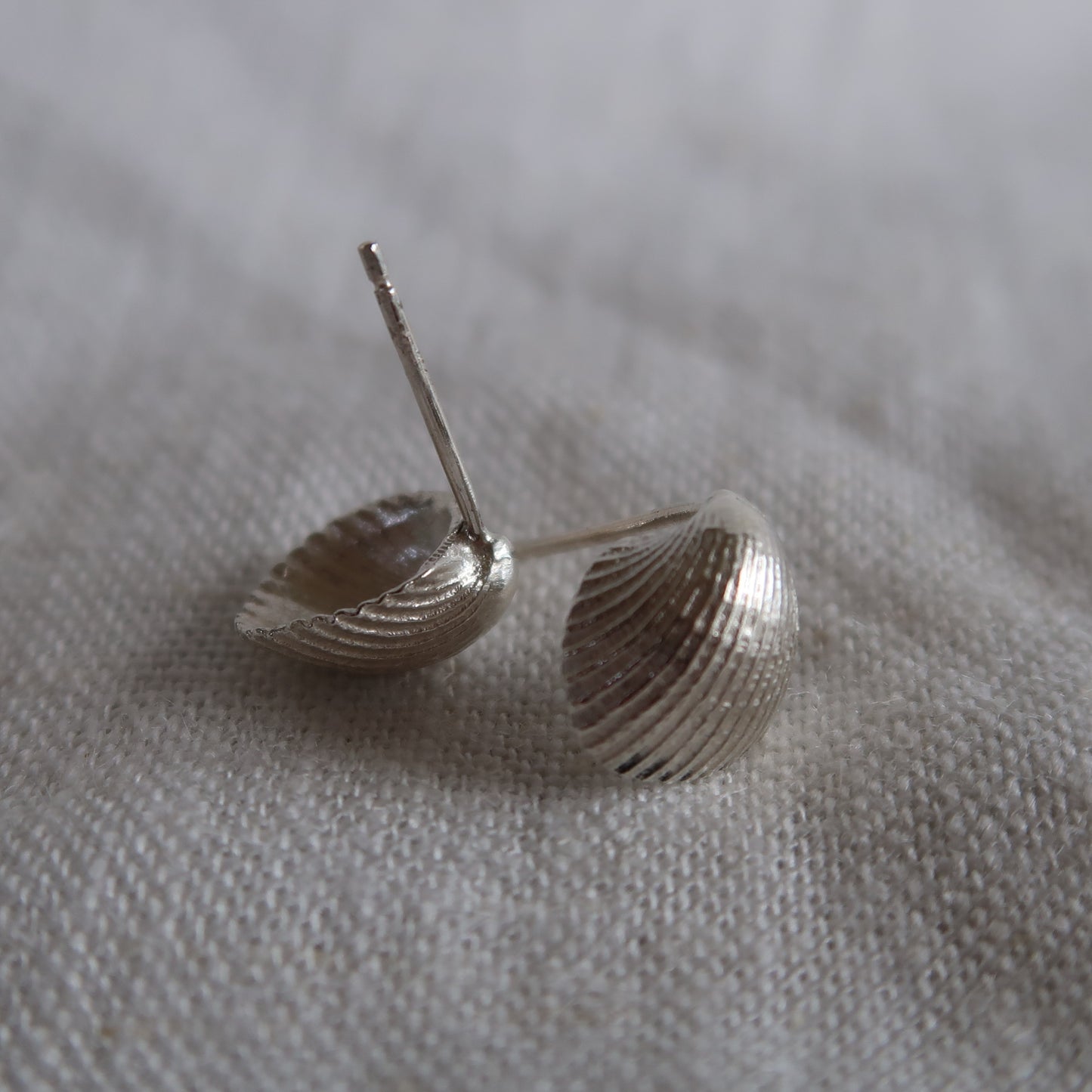 Cockle Shell Studs