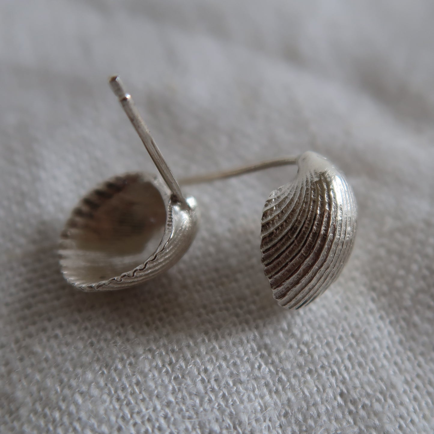 Cockle Shell Studs