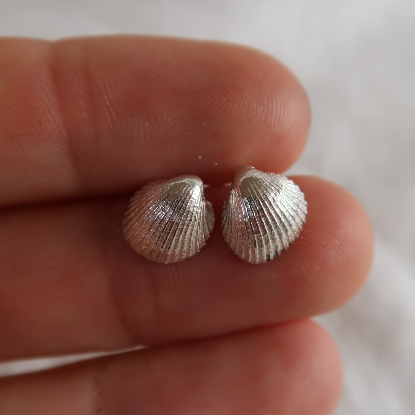 Cockle Shell Studs