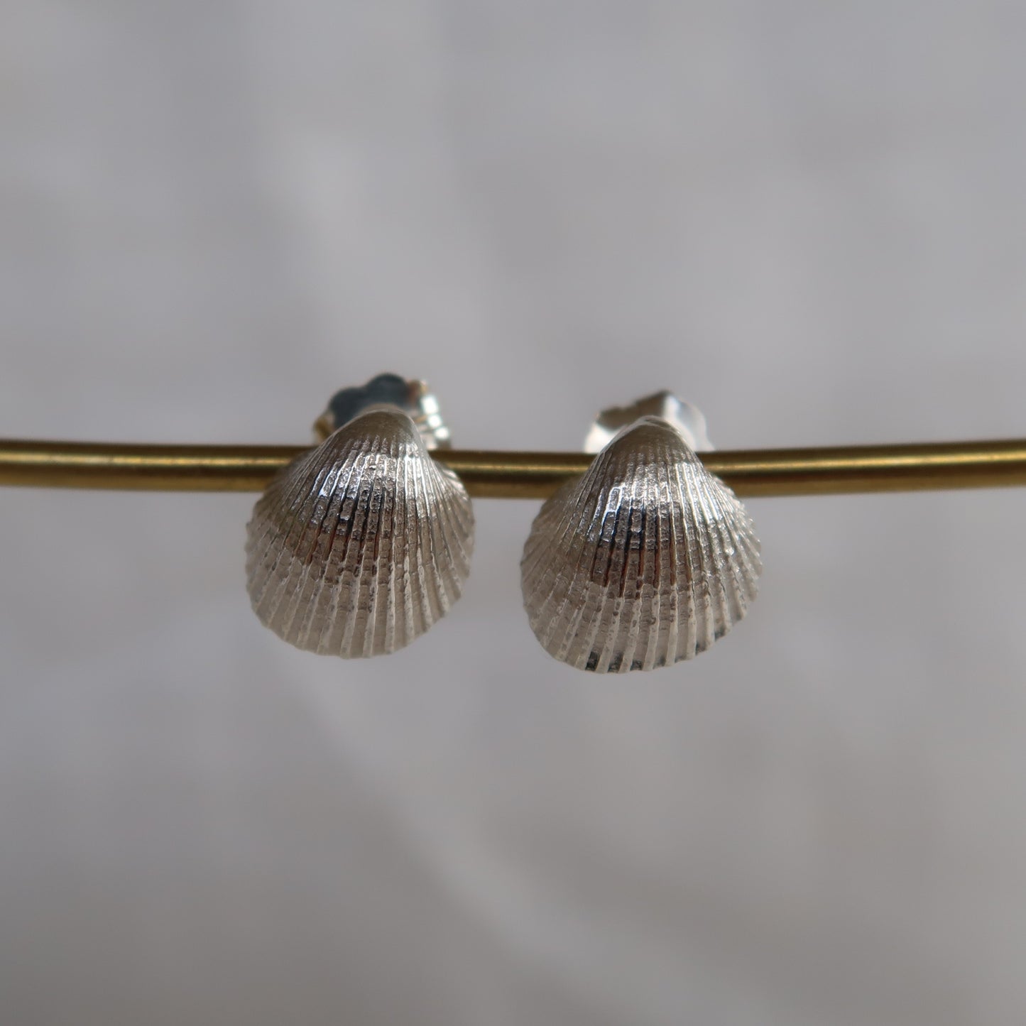 Cockle Shell Studs