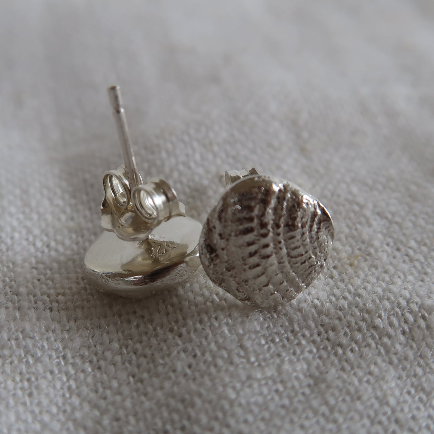 Sundial Shell Studs