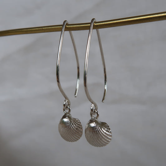 Sea shell Dangles
