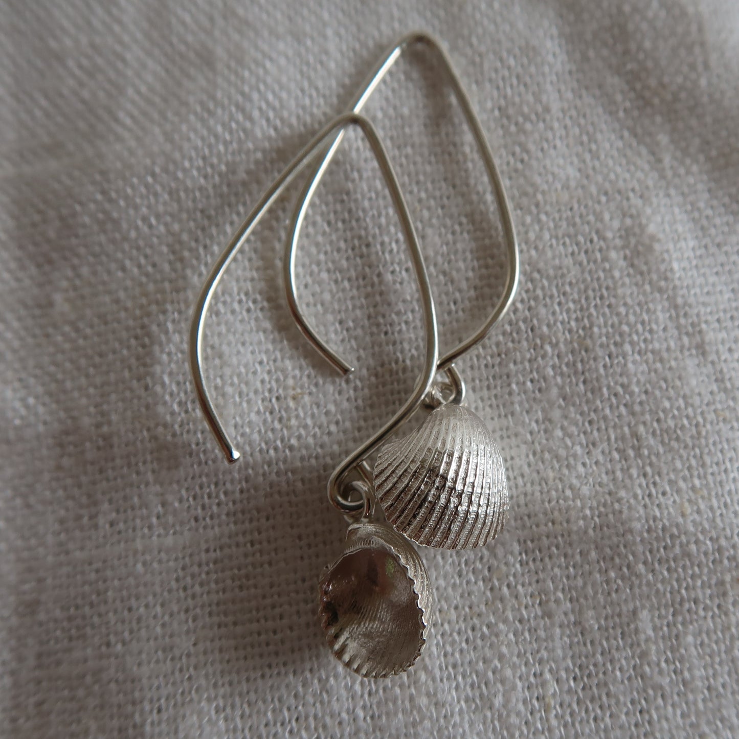 Sea shell Dangles
