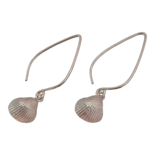 Sea shell Dangles