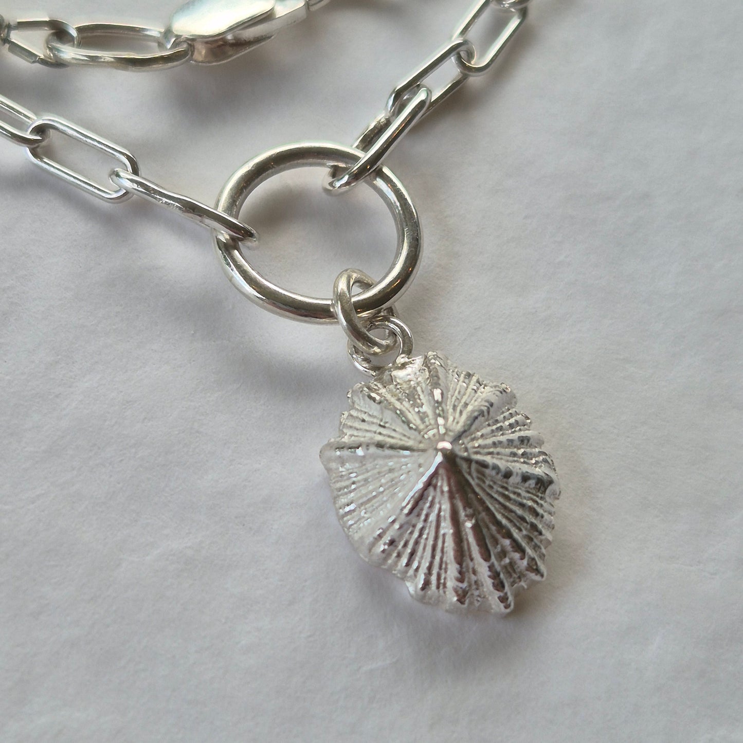 Sandcast limpet shell with Crazy Lace Agate Gemstone Beads